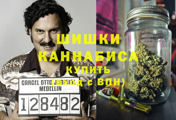 гидропоника Инта