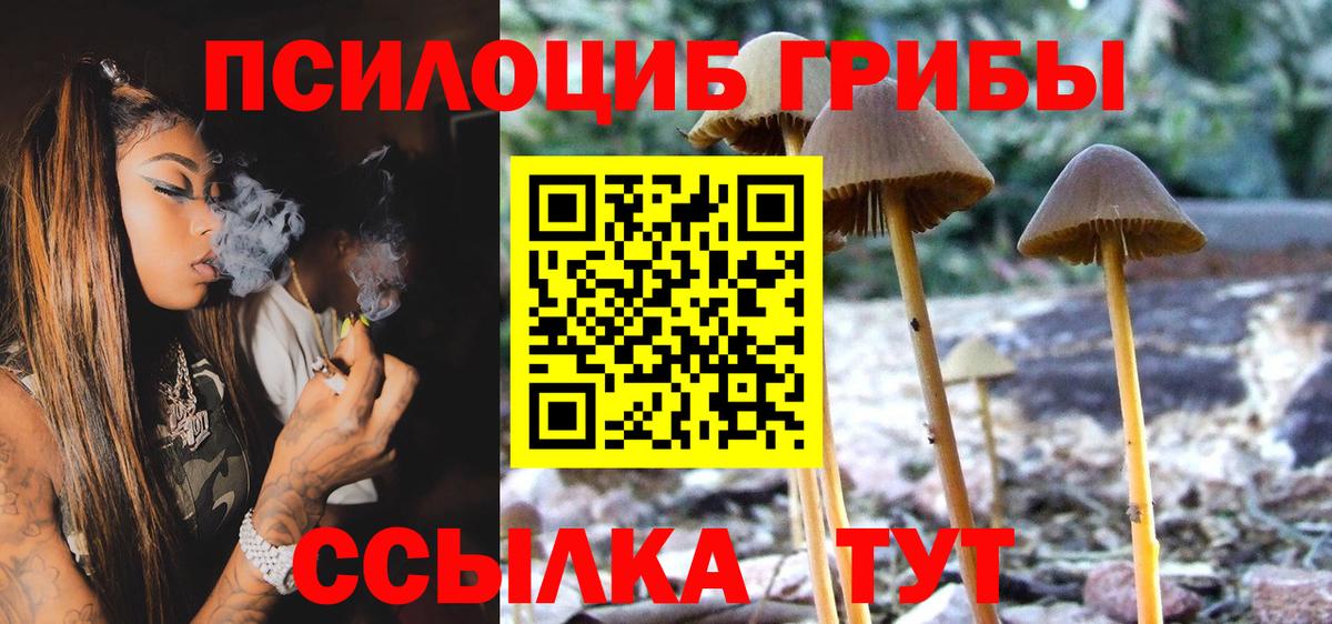 Реутов  Псилоцибиновые грибы мухоморы  Вход с VPN  Галлюциногенные грибы мухоморы 